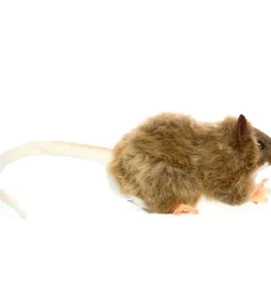 Braune Ratte Kuscheltier Hansa