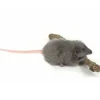 Hansa knuffels Ratte Stofftier Hansa