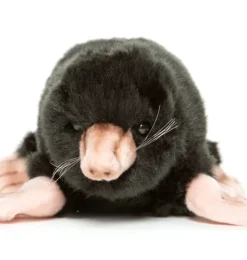 Hansa Kuschelmaulwurf 23 × 14 × 8 cm