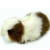 Hansa Meerschweinchen 3735 rotbraun / weiß 20 × 9 × 10 cm