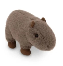 Orange Toys Wasserschwein